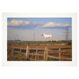 Mark Wallinger The White Horse, 2007/2024