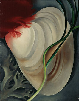 Georgia O'Keeffe: Shell No. 2