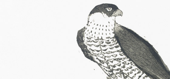 Elisabeth Frink custom prints